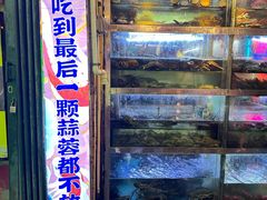 -喜碧海鲜·二十年本土海鲜老字号(上排店)
