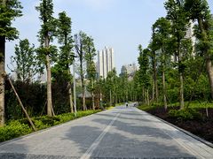-龙头寺公园
