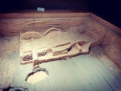 -洛阳周王城天子驾六博物馆