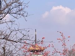 -东湖生态旅游风景区
