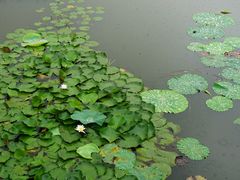 -同里国家湿地公园