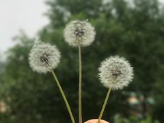 -北京宽沟会议中心