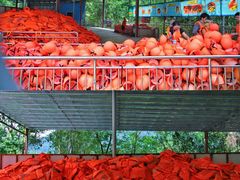 -清泉湾生态旅游度假区