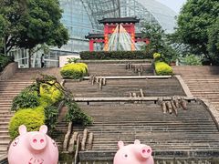 -南山植物园
