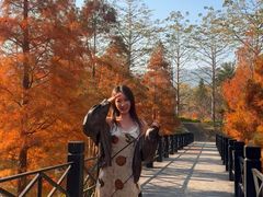 -田野绿世界