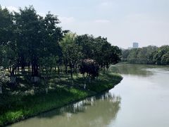 -海珠湖公园