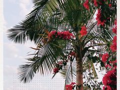 -云溪植物园