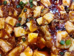 豆腐烧脑花-乐山食古香跷脚牛肉