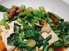 -佬肥猫(国华广场店)
