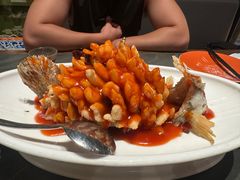 -小厨娘金榜题名(夫子庙秦淮河店)