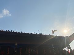 -顺峰山公园