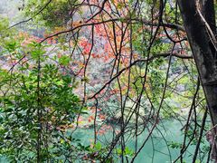 -广州市石门国家森林公园