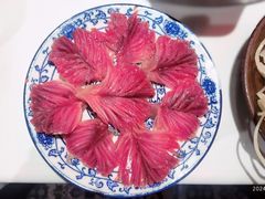 -卤校长老火锅(杨家坪直营店)