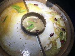 -九鼎轩脆毛肚火锅(商业街店)