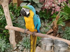 -南宫五洲植物乐园