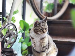 -榴莲咖啡馆