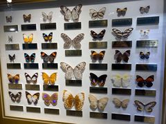 -上海昆虫博物馆