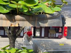 -灵谷景区