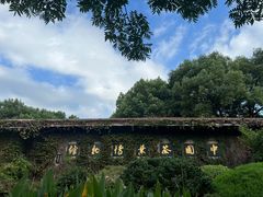 -中国茶叶博物馆(双峰馆区)