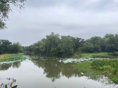 -西溪国家湿地公园