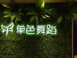 -单色舞蹈