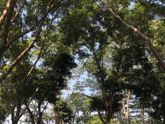 -顺峰山公园