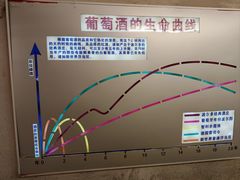 -青岛葡萄酒博物馆