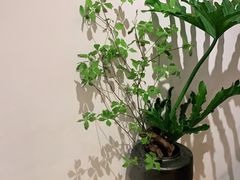 -花二家·生活馆(六运小区店)