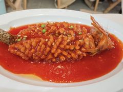 -丁老爷子苏香圆