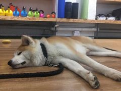-YCHL Studios健身工作室(市二宫店)