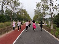 -上海长兴岛郊野公园