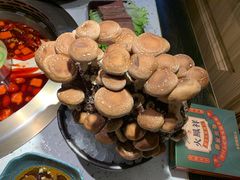 现采松香菇-火鳳祥美蛙牛肉自助(青悦城店)