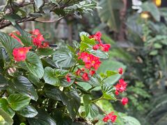 -大妙火锅·非物质文化遗产(东湖公园店)