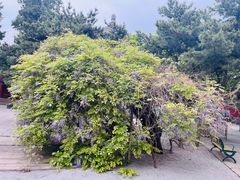 -大钟寺古钟博物馆