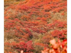 -水峪民俗村
