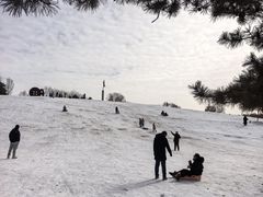 -莫子山公园