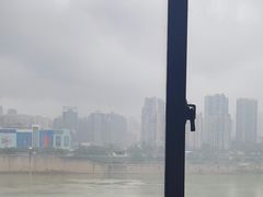 -李子坝梁山鸡(李子坝大鸡哥店)