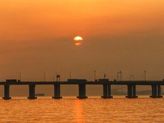 -宝安西湾红树林湿地公园