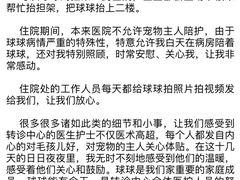 -美联众合动物医院·24h转诊中心
