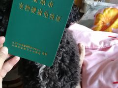 -美联众合动物医院·伴可分院·内科中心医院