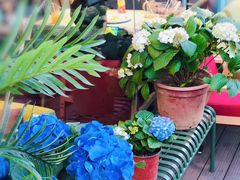 -花与咖啡馆(金星楼店)