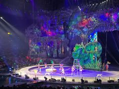 -广州长隆国际大马戏