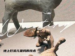 -徐州博物馆