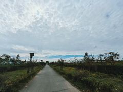 -菊园百果园