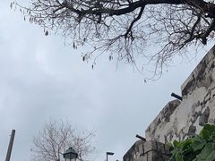 -大炮台