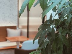 -Line 咖啡(石厦花园店)