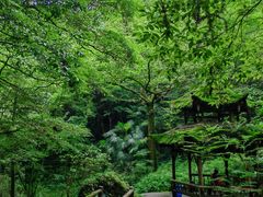 -青城山