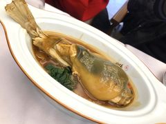 红烧河豚-肆月河豚·新淮扬(金融街店)