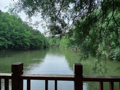 -青龙山国家森林公园