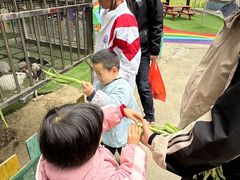 -广东花都香草世界旅游度假区
